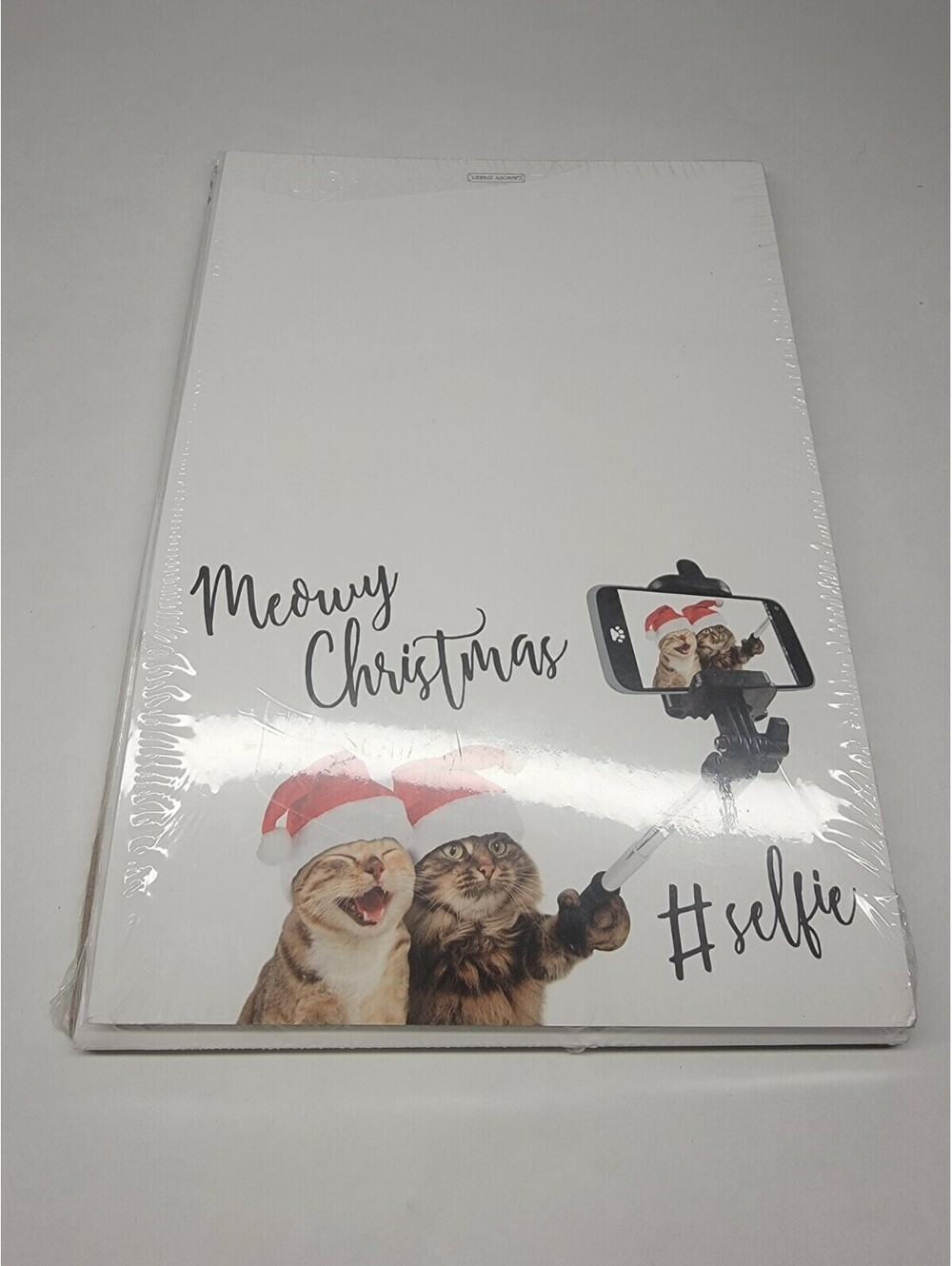 Funny Christmas Card with Envelopes Santa Cat Selfie stick